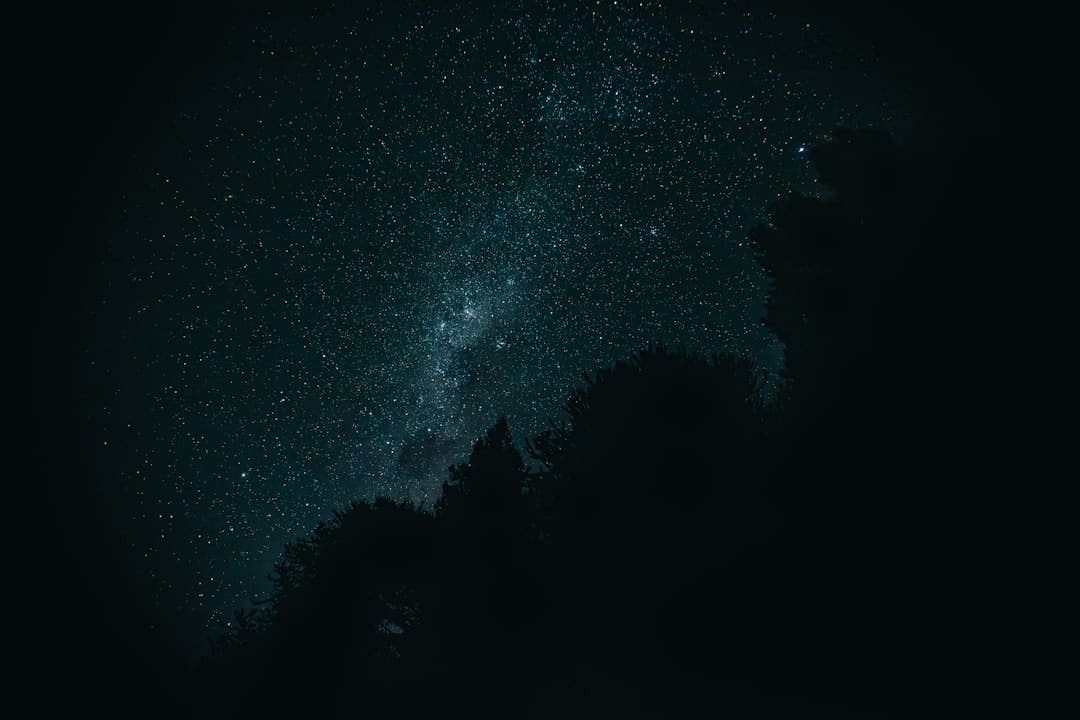 丰泽区委主要领导调研沿沿海浪漫线夜经济工作